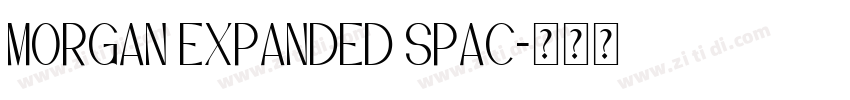 Morgan Expanded Spac字体转换